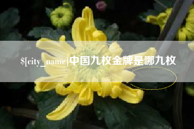 郯城中国九枚金牌是哪九枚