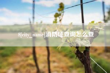 郯城消防证查询怎么查