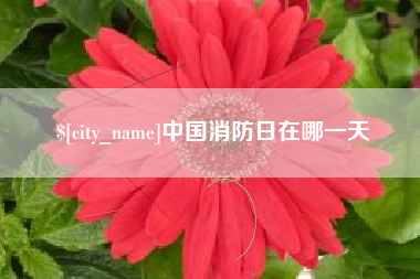 郯城中国消防日在哪一天
