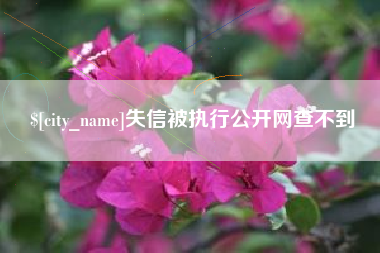 郯城失信被执行公开网查不到