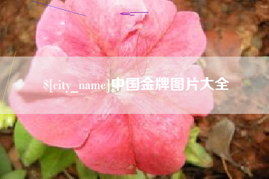 郯城中国金牌图片大全