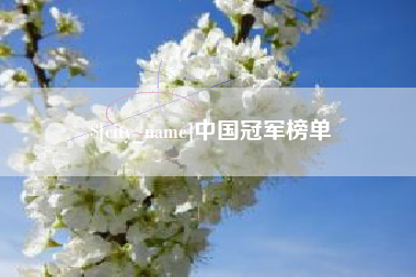 郯城中国冠军榜单