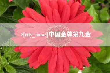郯城中国金牌第九金