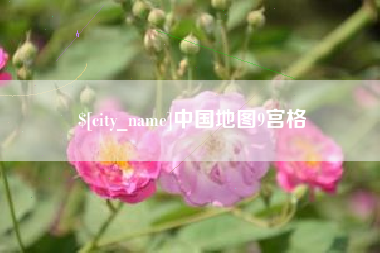 郯城中国地图9宫格