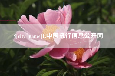 郯城1.中国执行信息公开网