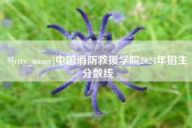 郯城中国消防救援学院2024年招生分数线