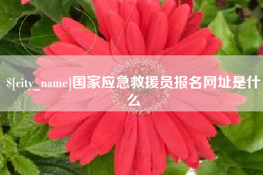 郯城国家应急救援员报名网址是什么