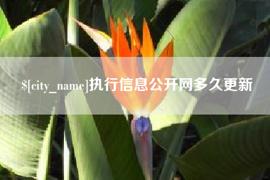 郯城执行信息公开网多久更新