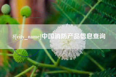 郯城中国消防产品信息查询