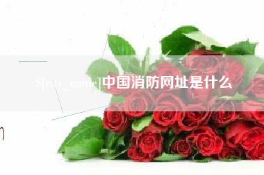 郯城中国消防网址是什么