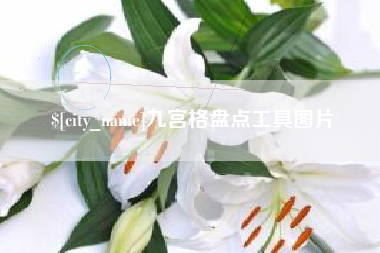 郯城九宫格盘点工具图片