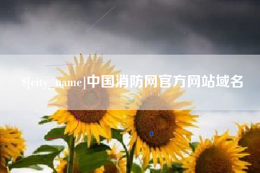 郯城中国消防网官方网站域名
