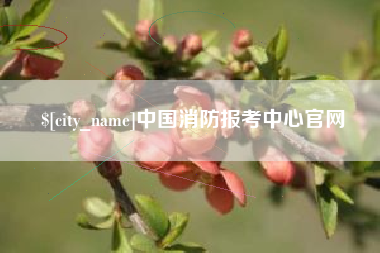 郯城中国消防报考中心官网