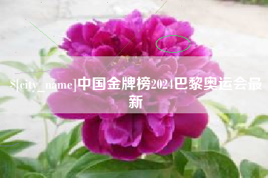 郯城中国金牌榜2024巴黎奥运会最新