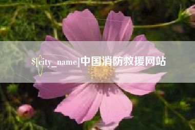 郯城中国消防救援网站