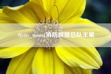 郯城消防救援总队王星