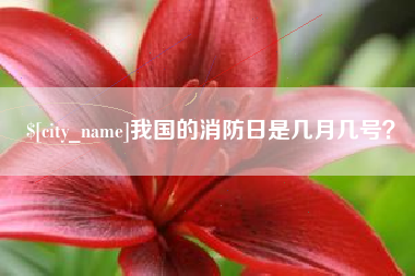 郯城我国的消防日是几月几号？
