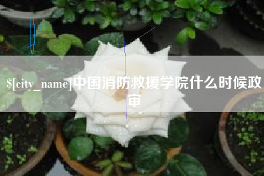 郯城中国消防救援学院什么时候政审