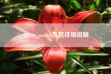 郯城九宫详细说明