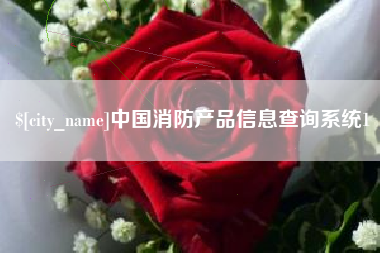 郯城中国消防产品信息查询系统1