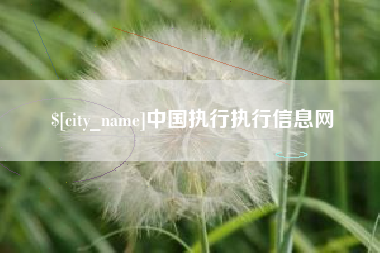 郯城中国执行执行信息网