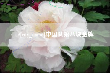 郯城中国队第八块金牌