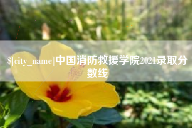 郯城中国消防救援学院2021录取分数线