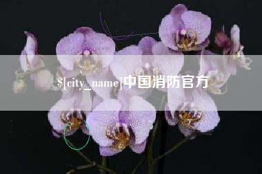 郯城中国消防官方
