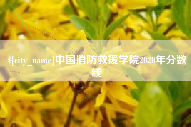 郯城中国消防救援学院2020年分数线