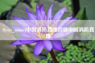 郯城中国消防直播回放中国消防直播
