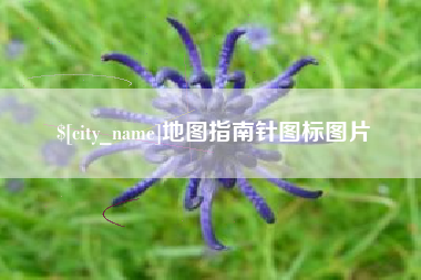 郯城地图指南针图标图片