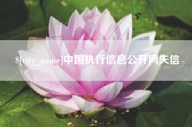 郯城中国执行信息公开网失信