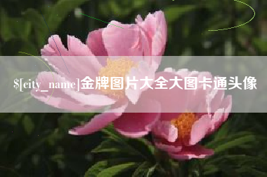 郯城金牌图片大全大图卡通头像