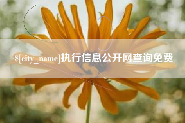 郯城执行信息公开网查询免费