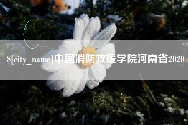 郯城中国消防救援学院河南省2020
